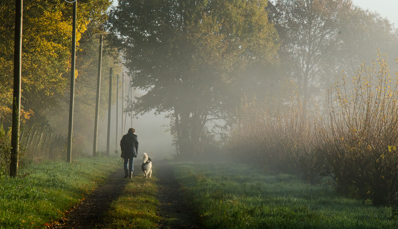 spatzieren-im-gruenen