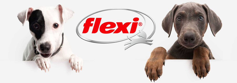 flexi-banner