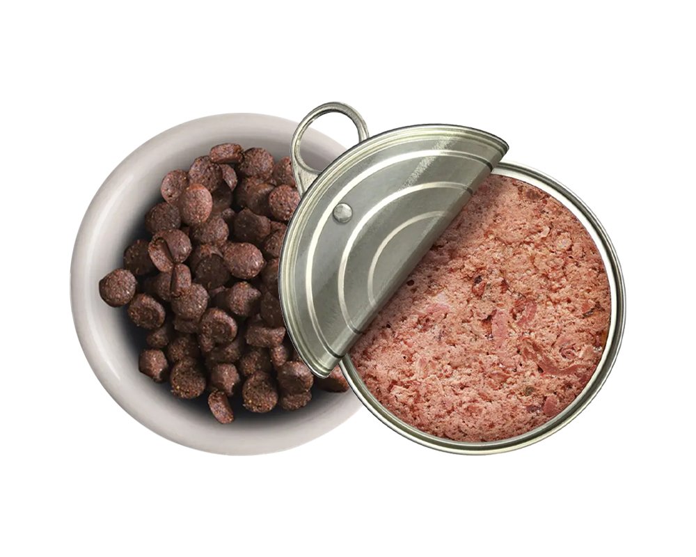 katzennahrung-und-snacks