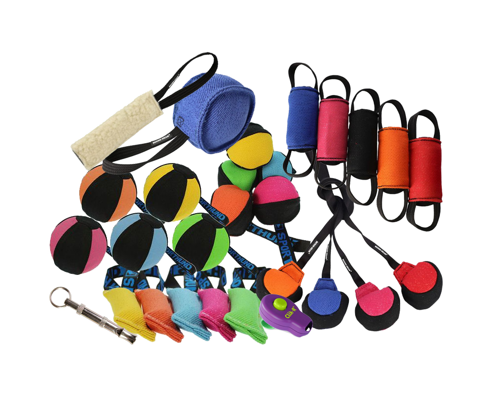 training-und-ausbildung