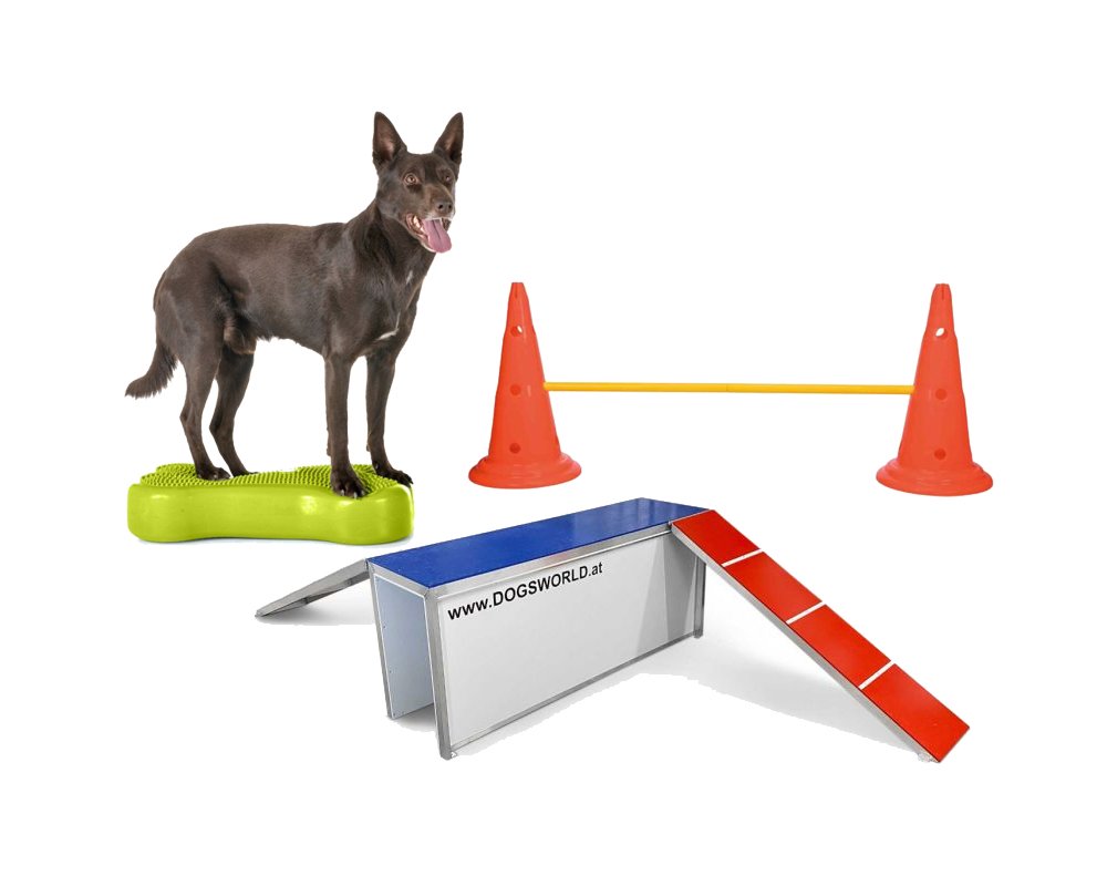 freizeit-hundesport