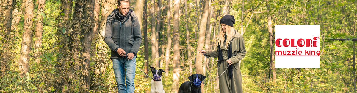 colori-hompage-1000x667-4