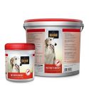 Belcando Instant Energy -500g