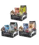 Cat Box Leonardo Adult GF