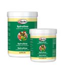 Quiko Spirulina