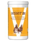 Quiko Visvit Brieftauben