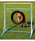 Dogsworld Agility Reifen