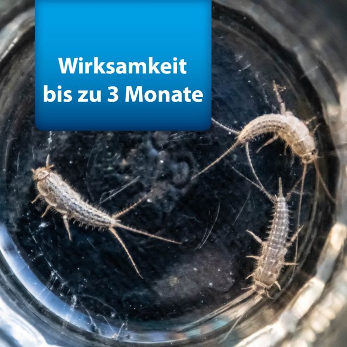 ARDAP Silberfisch Kderdose
