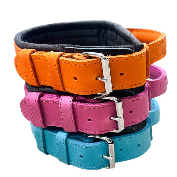 Dingo Gear Lederhalsband DRAGO mit Griff