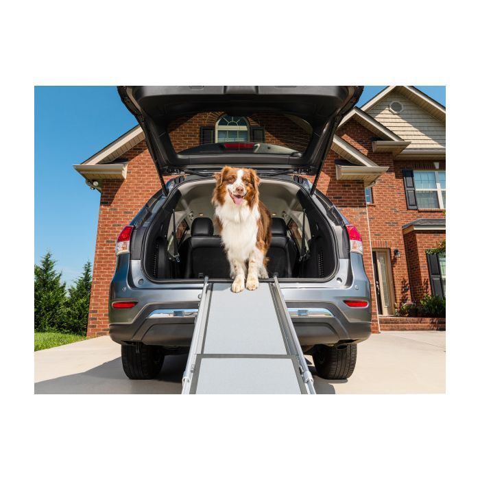 napfunterlage hund Personalisierte Foto Napf-Unterlage 