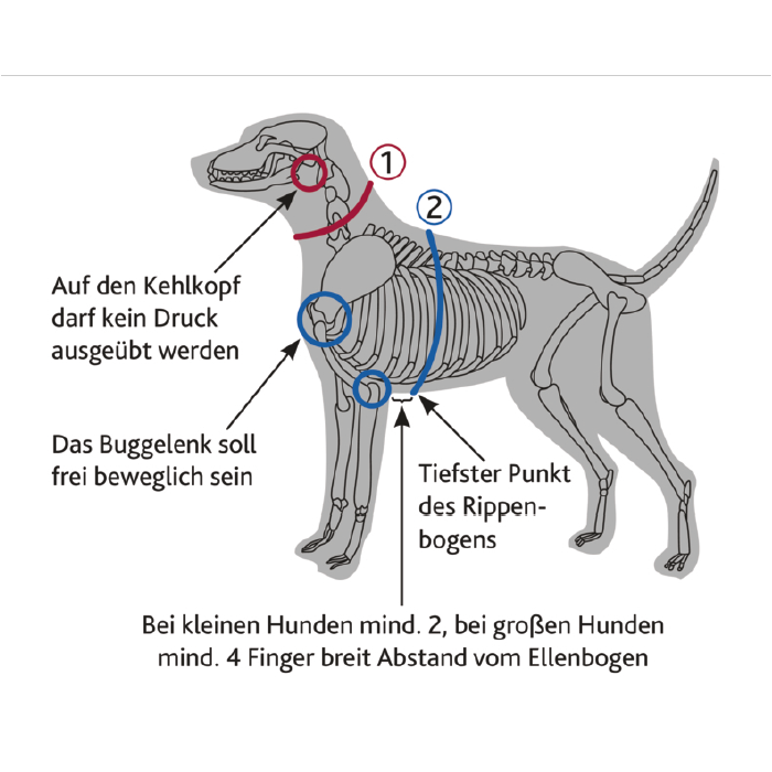 Trixie Modern Art Halsband 'On The Trek' – Stufenlos Verstellbar, Reflektierend & Belastbar Für Abenteuer Mit Deinem Hund
