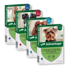 die besten hundebetten Hundekrbchen Wolke 7  weich & waschbar