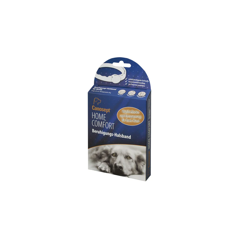 aufbewahrung milchzähne Zahnbox zur Milchzahn-Aufbewahrung – Mit Namensgravur – meinfotoprojekt.ch main image 1