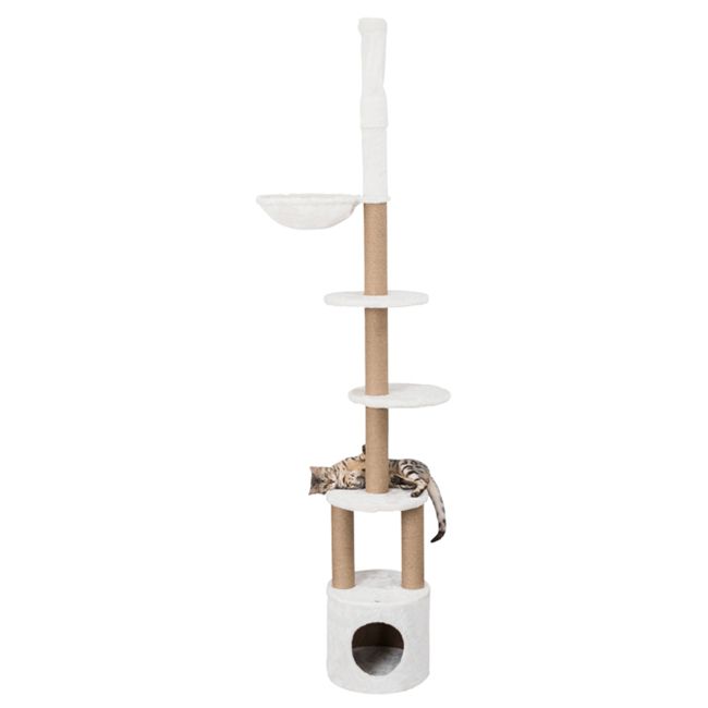 wolke 7 hundebett preisvergleich Wolke 7 Hundebett SoftTouch NEU