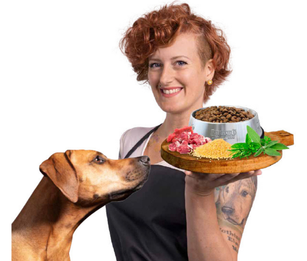 nahrungsergaenzung-hunde