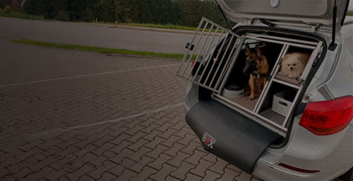 Hundebox 
nach Mass