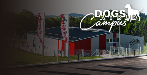 WISSEN.
TRAINING.
LEIDENSCHAFT.