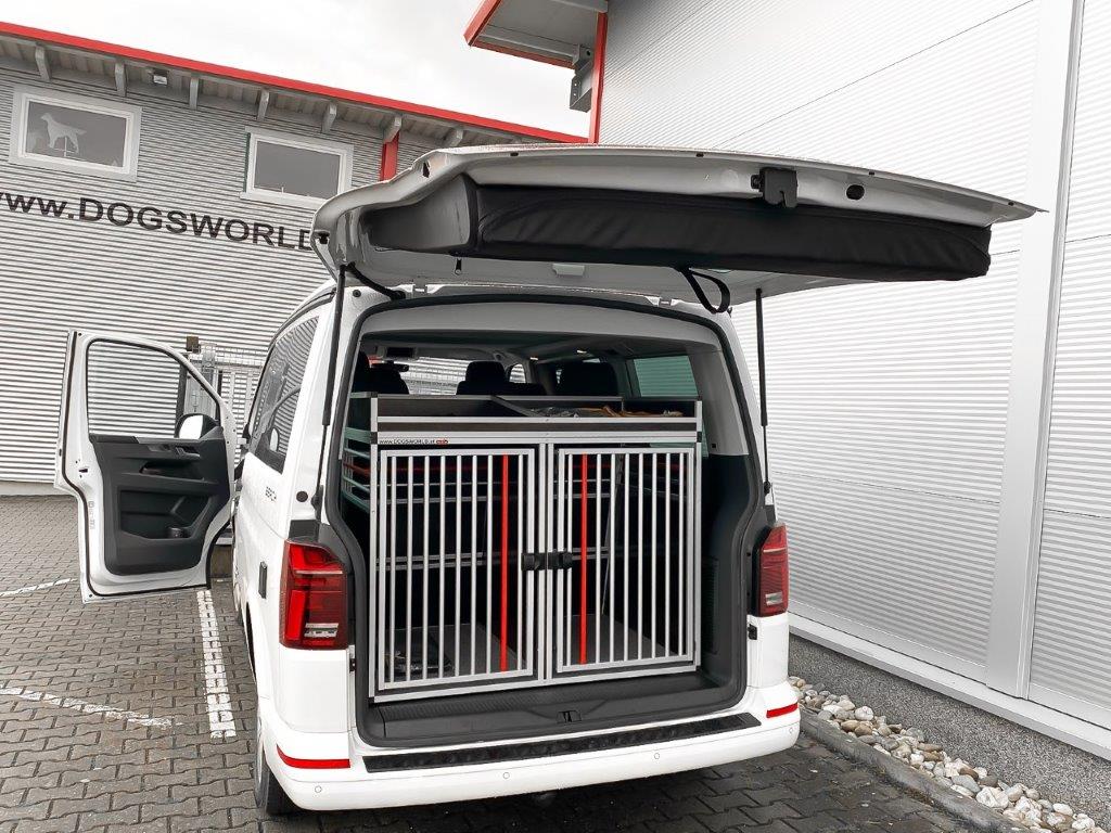 231399469_4269951329753618_1848862304982410847_n