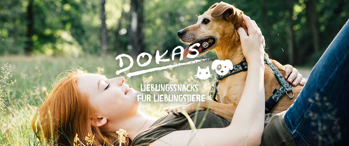 dokas-banner