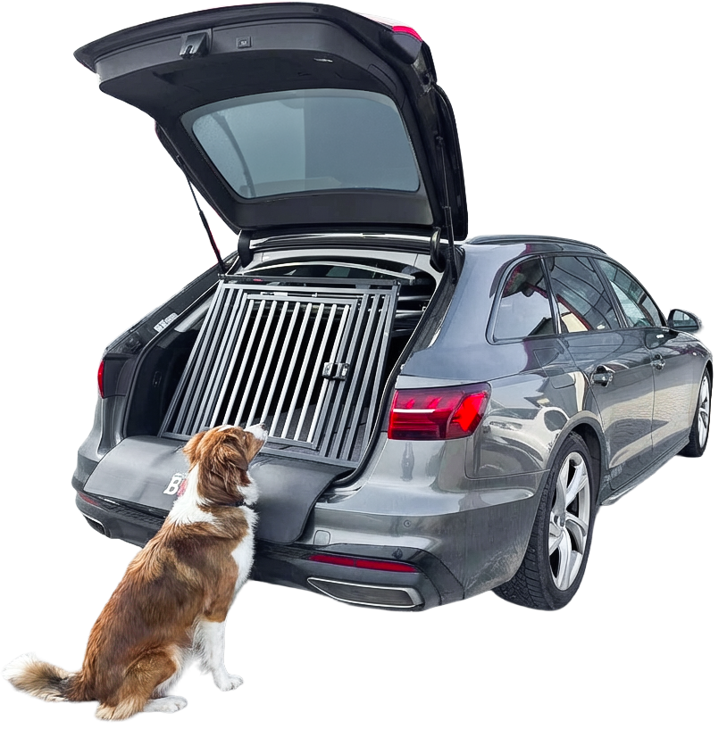 hundebox-skoda-massanfertigung-border-collie_1
