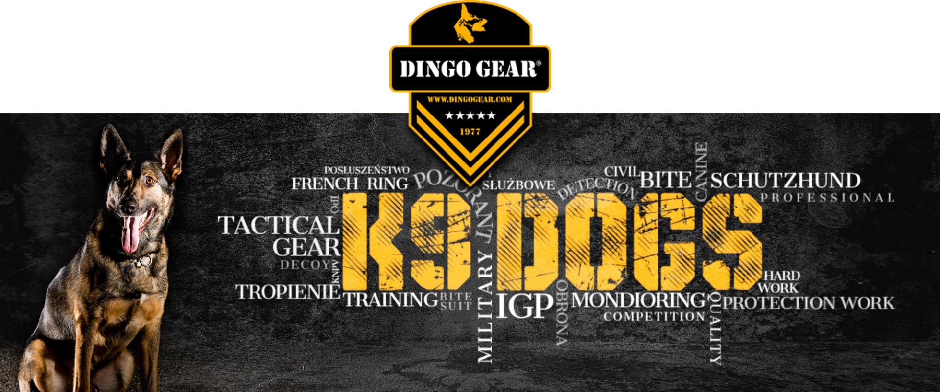 DingoGear-Header